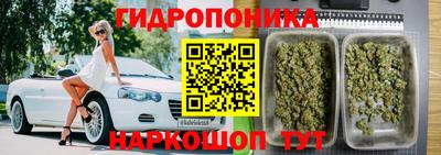 прущие крисы Ярославль